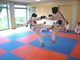 2010-Freefight5
