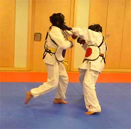 2010-MMA-Dez3