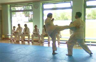 2011-JJ-Training-Pf6