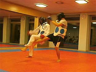 2011-MMA-1
