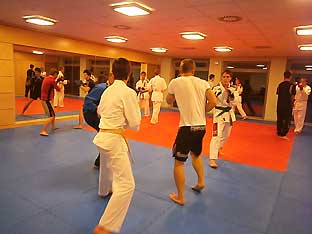 2011-MMA-3