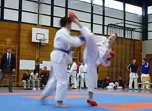 Domi-Kumite-1