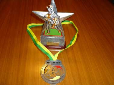 2010-BJJ-DM-245