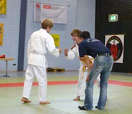 2010-BJJ-DM-331