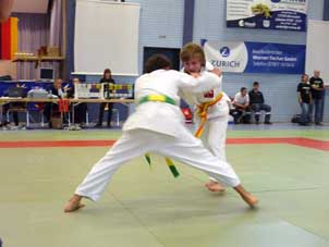 2010-BJJ-DM-345
