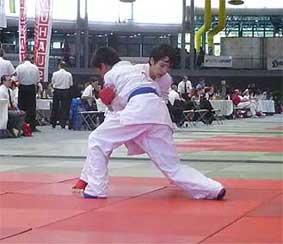 2010-GO-15