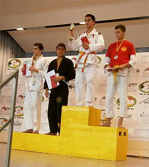 2011-DM-BJJ-2