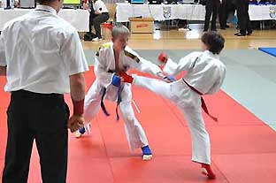 Severin2011