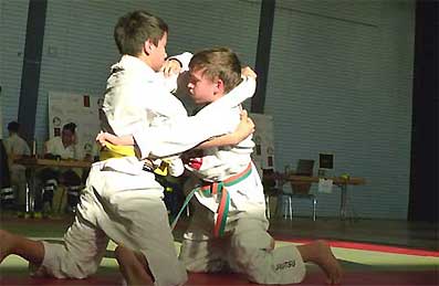 BJJ-DM-2012-4