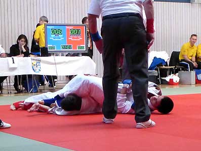 2013-JJ-suedb10