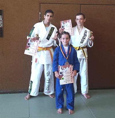 BJJ-SDM