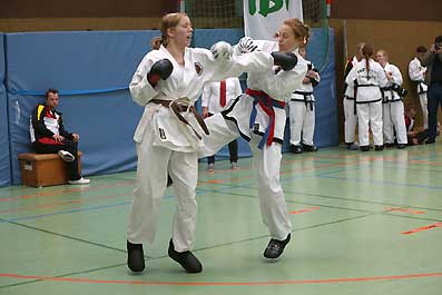Ilka-WM-2