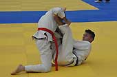 2016-JJ-GO-396-1