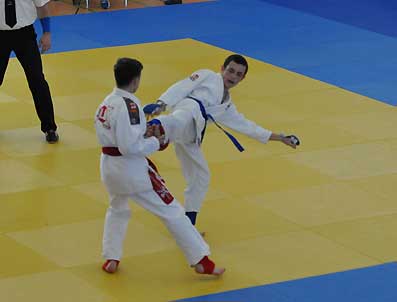 2016-JJ-SDM-311