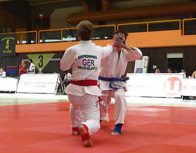2017-JJ-DM-251-1