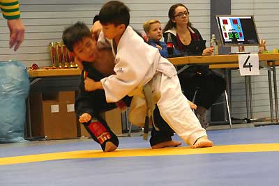 2018-BJJ-IDM-411